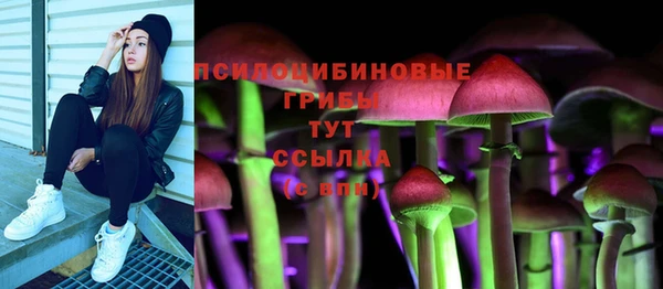 спайс Кодинск