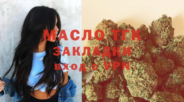 индика Козловка