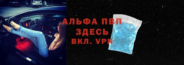 хмурый Бикин