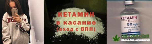 хмурый Бикин