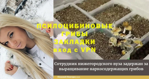 хмурый Бикин