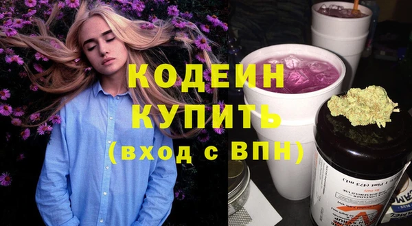 индика Козловка