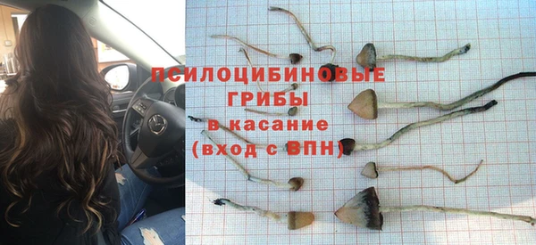 хмурый Бикин