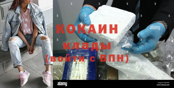индика Козловка