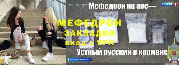 индика Козловка