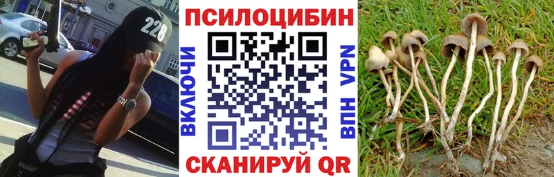 Галлюциногенные грибы MAGIC MUSHROOMS  мега сайт  Любань 